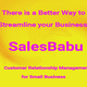 Illustration for article titled SalesBabu CRM- CRM for Small Business